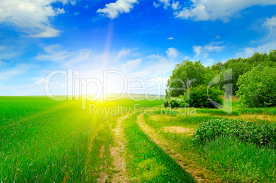 green field and sun on blue sky