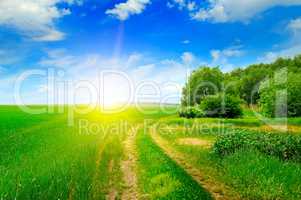 green field and sun on blue sky