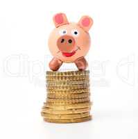 Pig on coins