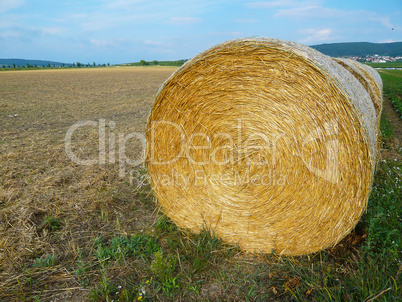 Straw Bales