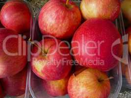 Apples