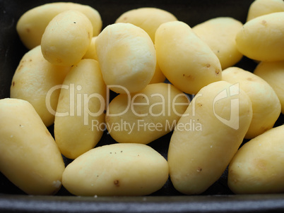 Potato vegetables in a tub