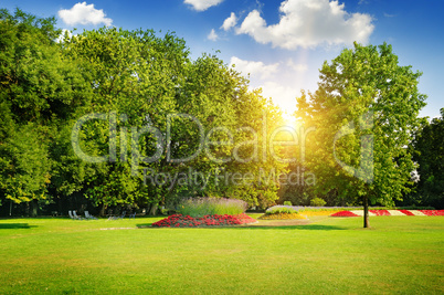 summer park with beautiful flowerbeds