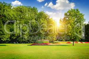 summer park with beautiful flowerbeds