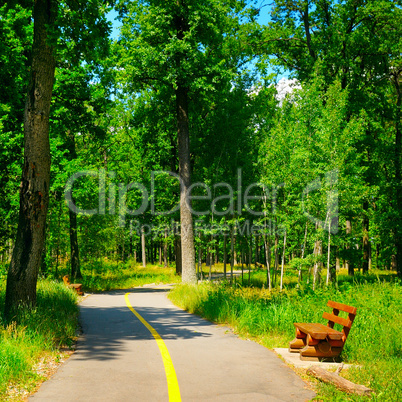 summer park with beautiful walking paths