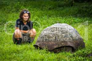 Woman staring intently at Galapagos giant tortoise