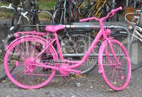 Rosa Fahrrad