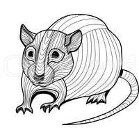 Rat or mouse head vector animal illustration for t-shirt.