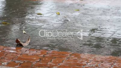 raindrops falling on pavement