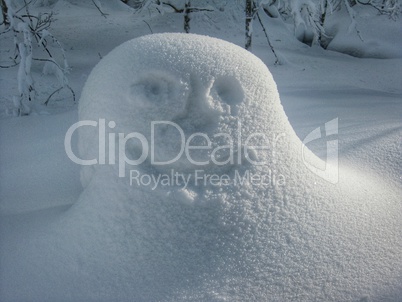 Happy Face in Snow