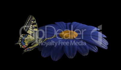 butterfly on blue flower 3d render