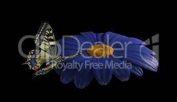 butterfly on blue flower 3d render