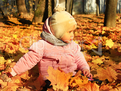 baby plays with Autumn leaves in the park