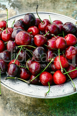 Harvest rustic cherry