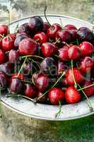 Harvest rustic cherry