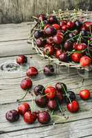 Harvest rustic cherry