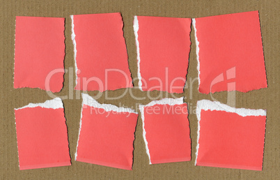 Red Torn paper pieces