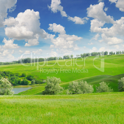 picturesque green field and blue sky