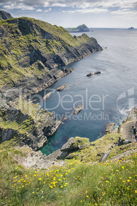 view from Reencaheragh to Skellig Island