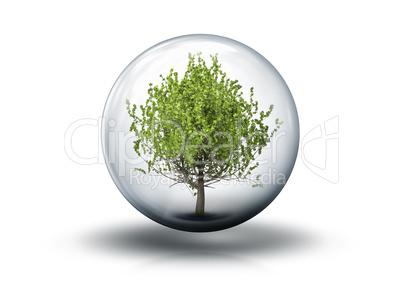bubble with a tree