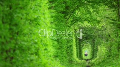 Green Tunnel and the Train