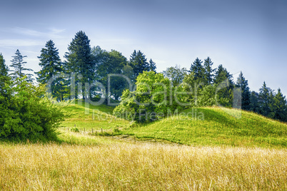meadow and hills