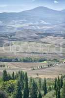 Pienza Landscape