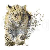 Leopard Portrait Watercolor