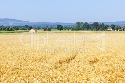 countryside