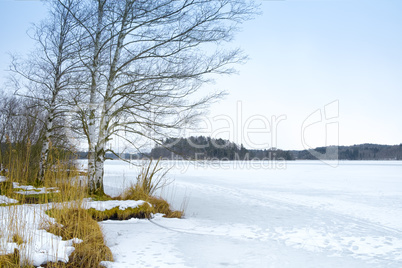 winter scenery Osterseen