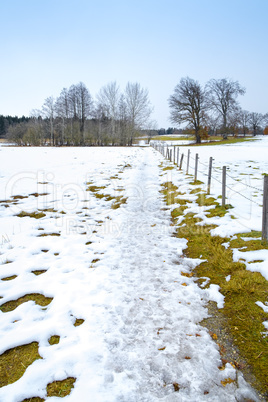 winter scenery Osterseen