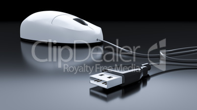 typical computer mouse