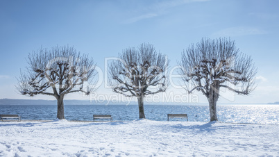 winter scenery at Tutzing Bavaria