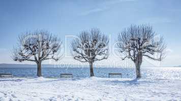 winter scenery at Tutzing Bavaria