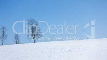 winter scenery background