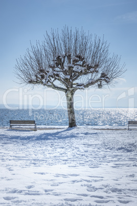 winter scenery at Tutzing Bavaria