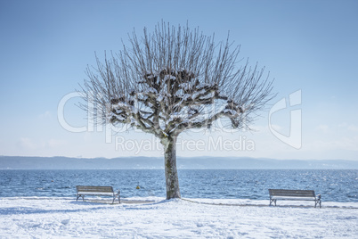 winter scenery at Tutzing Bavaria