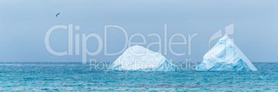 Bird flying past two icebergs at sea