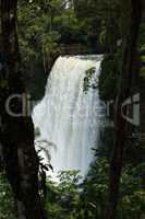One of Iguazu waterfalls seen between trees