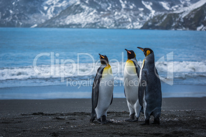 Three penguins on beach with mountains behind
