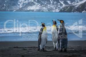 Three penguins on beach with mountains behind