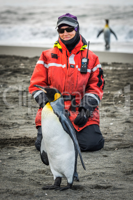 Woman kneeling on beach beside king penguin