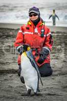 Woman kneeling on beach beside king penguin