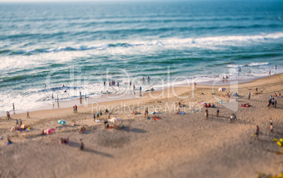 Beach on the Indian Ocean