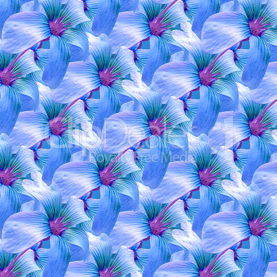 Stylized Floral Geometric Pattern