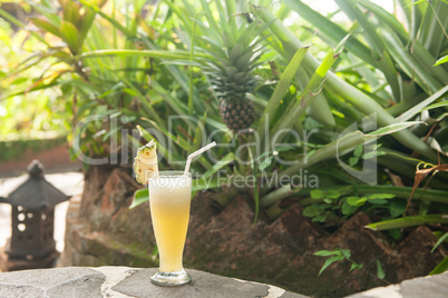 Healthy tropical drink