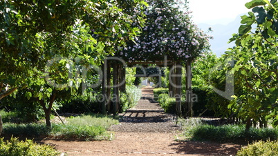 Gartenanlage in einem Weingut in südafrika