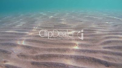 Underwater, the sunlight on the sandy bottom of the sea