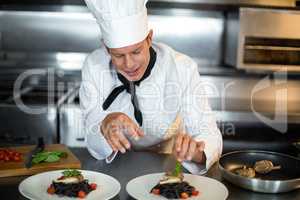 Chef preparing food in kitchen