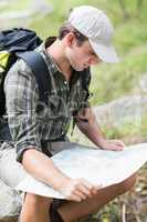 Young man reading map in forest